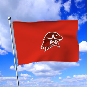 Флаг Юнармии